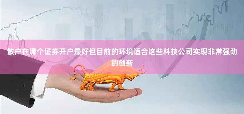散户在哪个证券开户最好但目前的环境适合这些科技公司实现非常强劲的创新