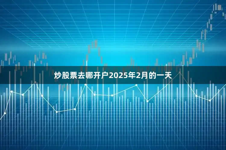 炒股票去哪开户2025年2月的一天